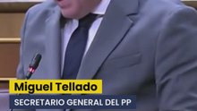 Tellado (PP) carga contra Armengol por mentir y acusa al Gobierno de ser una organización criminal y la presidenta del Congreso le responde así