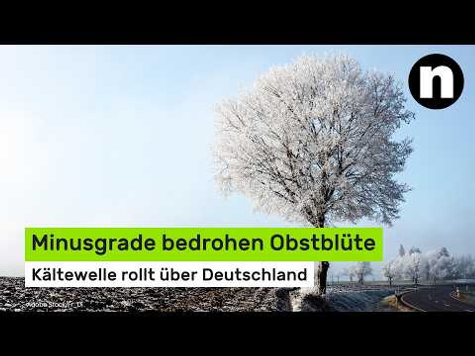 Vorverlegte Eisheilige: Minusgrade bedrohen Obstblüte – Kältewelle rollt über Deutschland