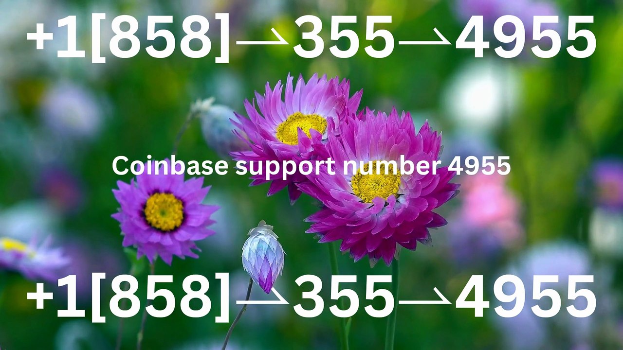 Complete List of Official Coinbase Customer Service Number, HELP-DESK Helpline 24/7 Care