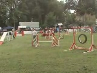 15. open Bambou 8 juin 2008