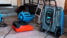 Certified Mold Remediation & Air Quality Specialists