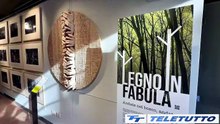 Video News - Palazzolo: inauguarata la mostra "Legno in fabula"