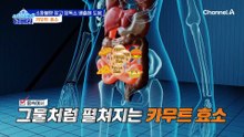 장독소 배출에 도움이 되는 카무트 효소! 이집트 왕도 즐겨 먹었다?