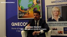 Macfrut 2026 - L'intervista ad Alessio Mammi, Assessore Agricoltura Emilia Romagna