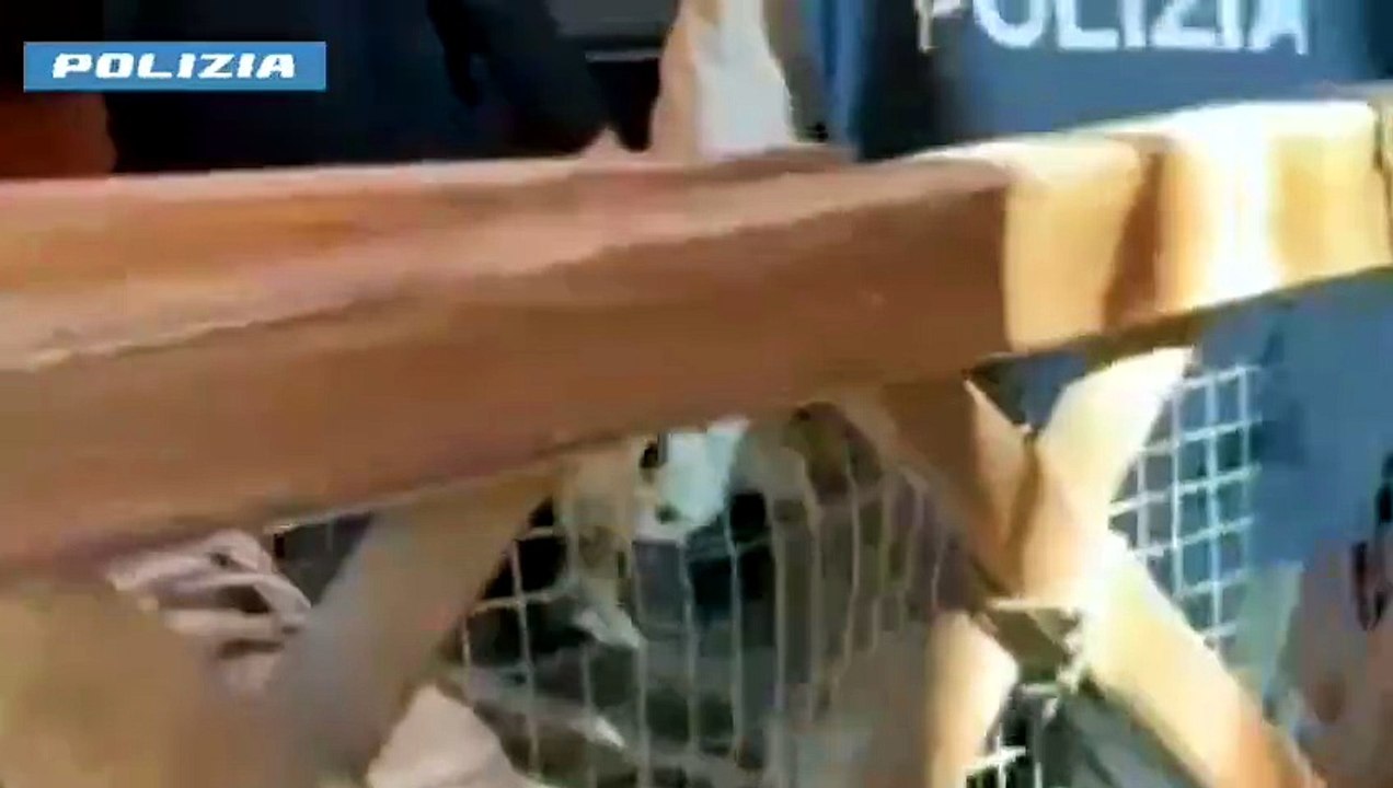 Estremismo di destra, indagine della Digos: arrestato un diciannovenne italo-albanese residente a Pavia