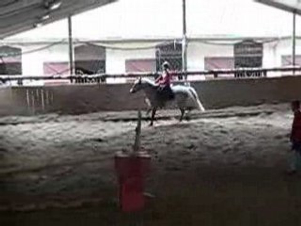 Popeye et Gato : essai numéro 1 :p