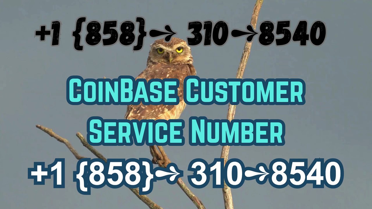 ⁂..Coinbase® Toll free© Coustmer ,CARE, helpline® Numbers ,,Contact⁂ (24/7) Live Person Care) (1)