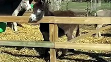 “WHEN THINGS GO WRONG!”  “UNEXPECTED FAILS!”