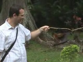 ça c'est de la chauve-souris !!