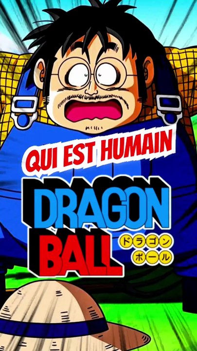 Qui est humain dans DRAGON BALL