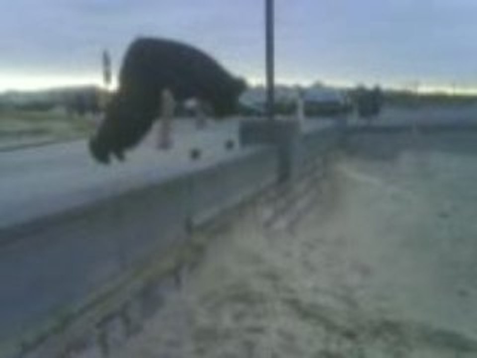 moa en salto sur la plage de boulogne