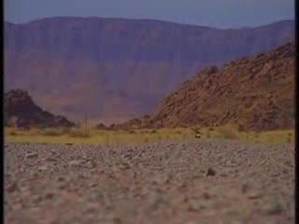 Le tour du monde en YAMAHA R1