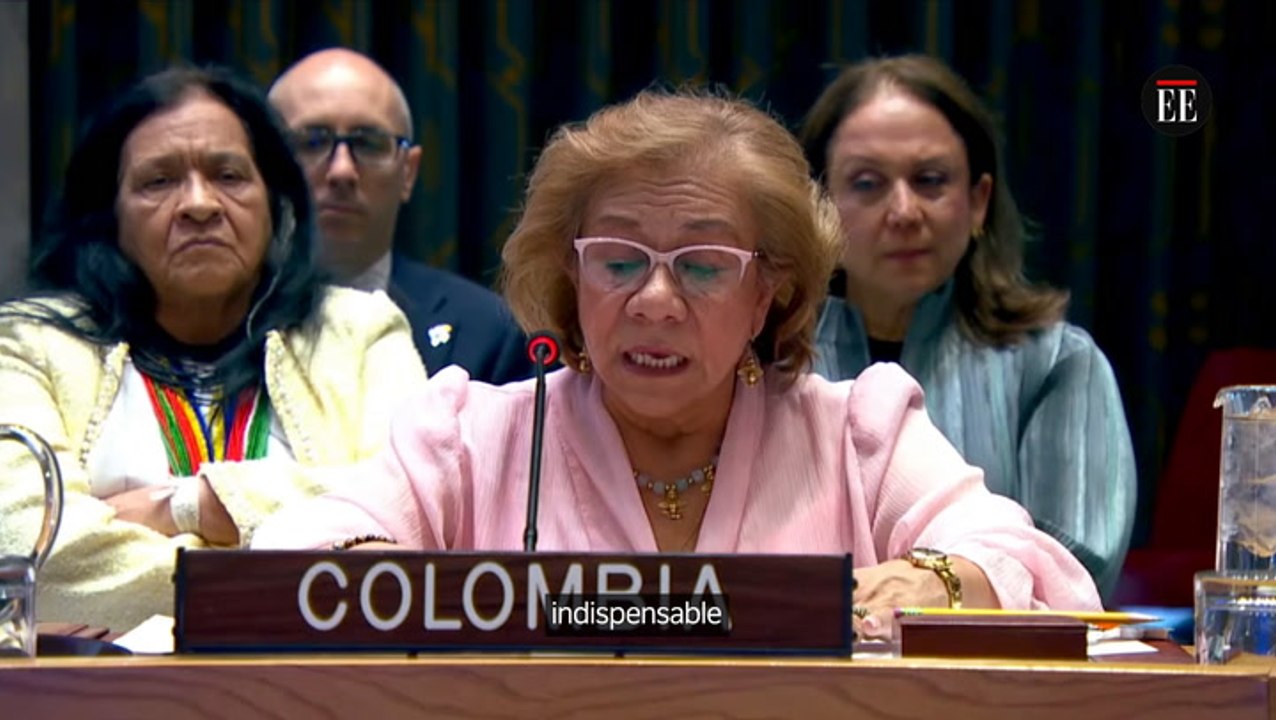 Canciller pide al Consejo de Seguridad no recortar presupuesto de Misión de ONU en Colombia