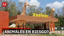 Profepa ordena cierre del Zoológico de León tras muerte de animales