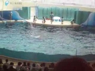 Show Katase Enoshima 2008
