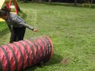 Début de l'apprentissage à l'agility 2