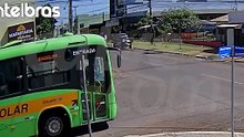 Cão é atropelado, tem fratura exposta e motorista foge sem prestar ajuda