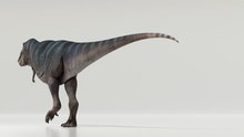 T. Rex Walked A Lot Slower Than You'd Think