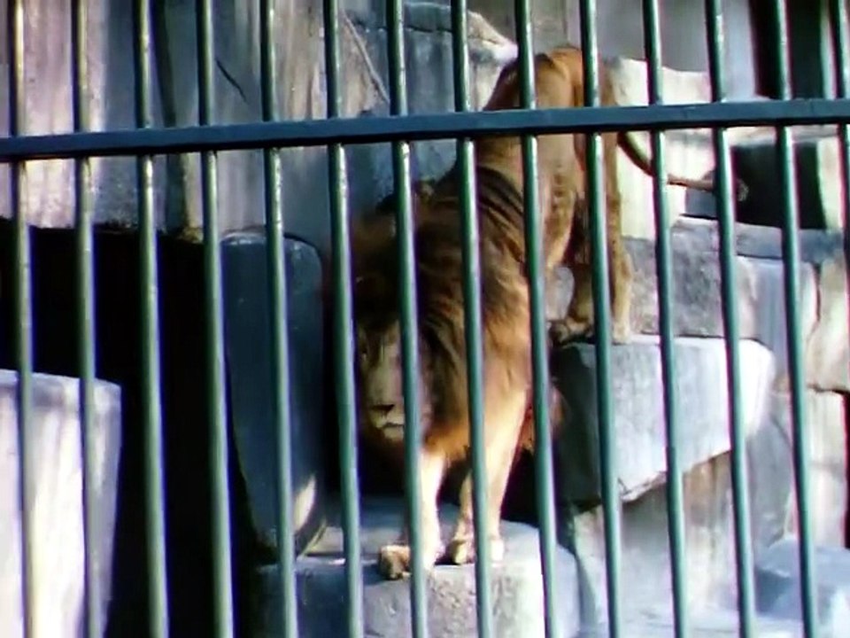 Jardin des plantes avec les Clément