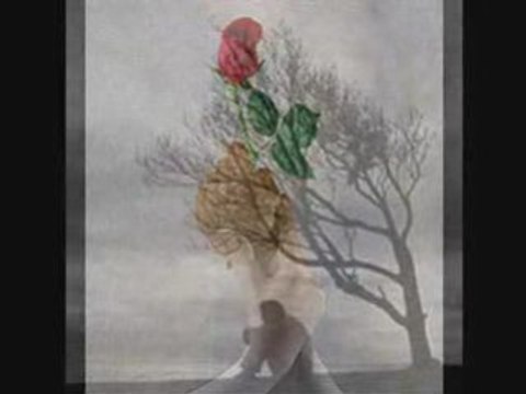 JE TAIME MA CHERIE TU ME MANKE