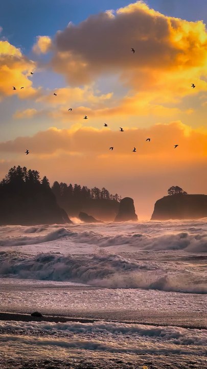 Rialto Beach, Etat de Washington, Etats-Unís