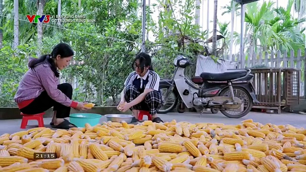 VTV3 | Vì bạn xứng đáng 2026 - Tập 8: Cơ trưởng Trung Minh (ngày 22/04/2026)