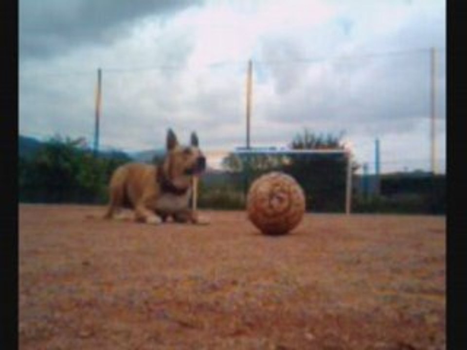 foot transversale moitié de terrain challenge tele foot