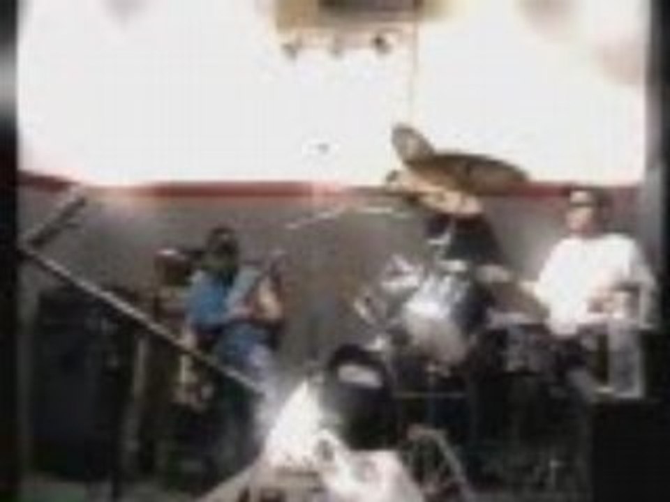 NVEExport.0002