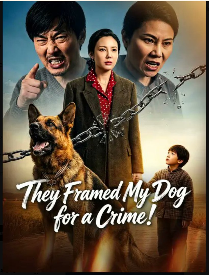 They Framed My Dog for a Crime- Full Drama Movie English Sub