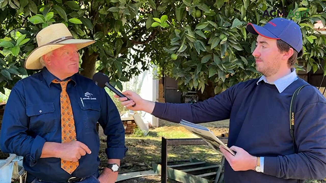 Birthweight, explosive growth, key traits pushing prices at Reiland Angus sale