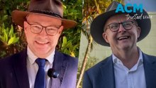 Is this the "Real Albo"?