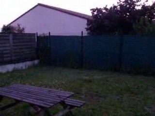 Le chant des oiseaux le matin