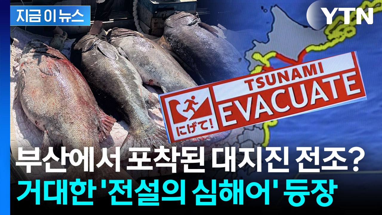 왜 갑자기 부산에 이런 현상이...日 대지진 공포에 떠는 시민들 [지금이뉴스] / YTN