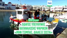 WWF Ελλάς: Οδηγός για την κατανάλωση ψαρικών - Τι τρώμε και πότε - Τι συμβαίνει με τα ξενικά είδη