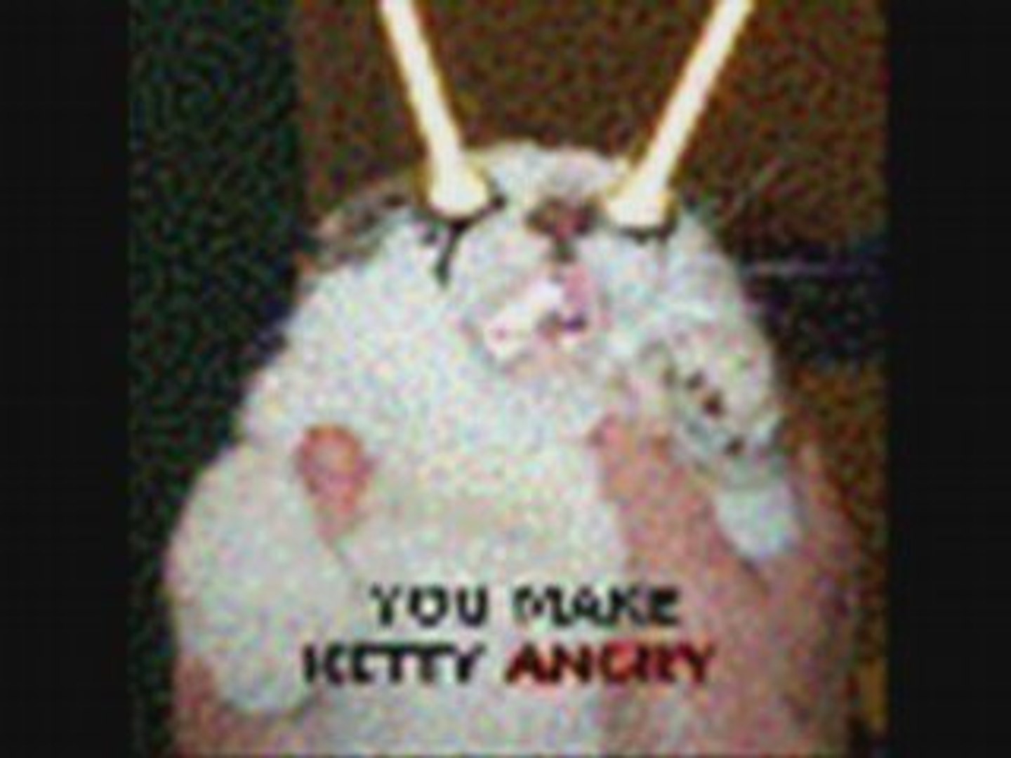 very cute animals photos, animals moments