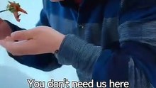 Reset The Game_ Where Her Empire Begins - Full Movies English Sub
