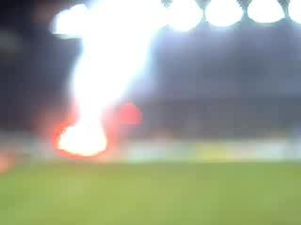 GREEN ANGELS  asse ambiance asse-om