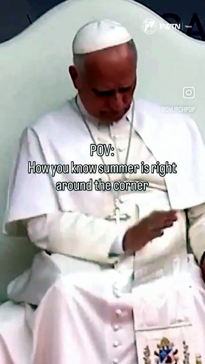Il Papa  e la zanzara