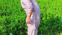Punjabi mahol