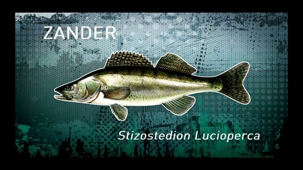 Hanting Fish E04