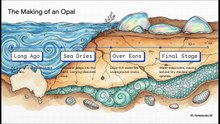 The True Story of Opal