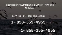 121//\\~【Verified】⋉अ[FULLGUIDE] Coinbase® WALLET© SuppORT℗ Phone Number