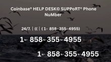⁂{{ＯFFICIAL}™ List of coinbaseⓃ CUSTOMER© Care℗ (Help Desk Number Support) Numbers A Complete Guide