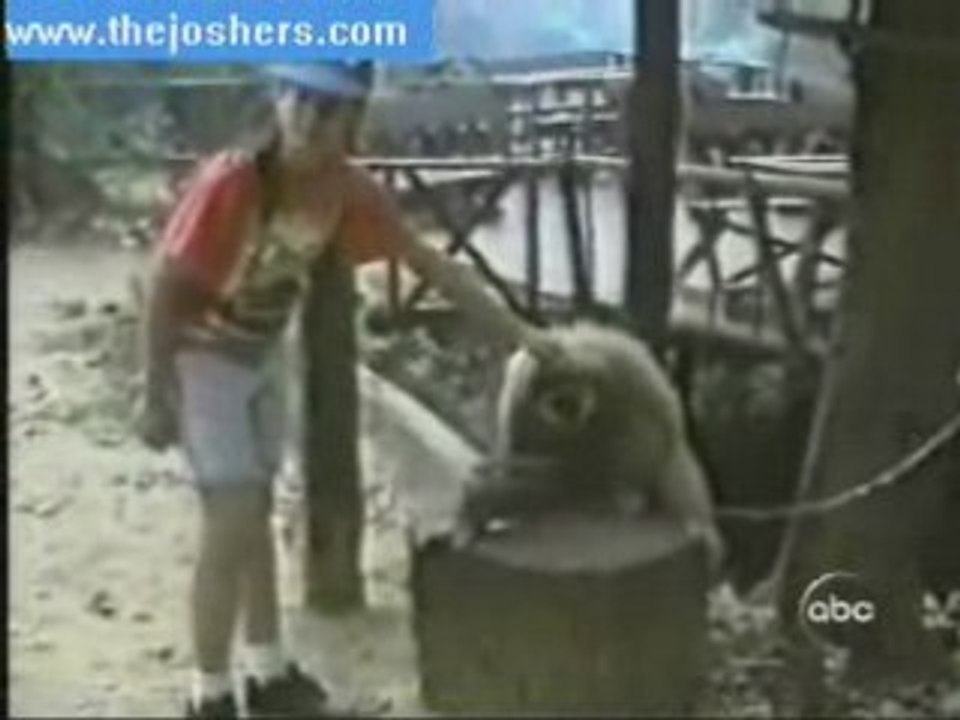 singe massage - monkey headscratch