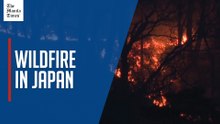 Wildfires spark evacuation orders in northern Japan