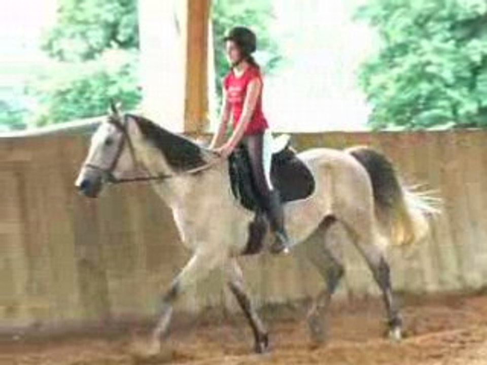 Oualam 08/06/2008