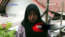 Heboh Balita di NTB Tiba-Tiba di Atap Rumah! Bikin Keluarga Panik