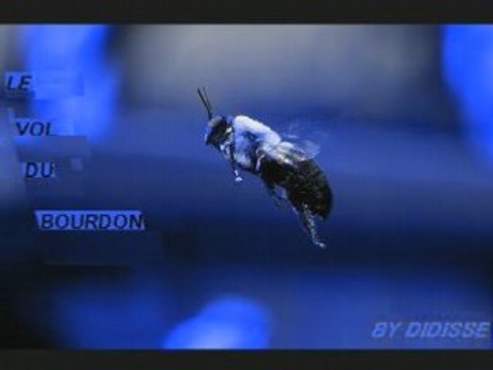 Le Vol Du Bourdon ( Flight Of The Bumble Bee )