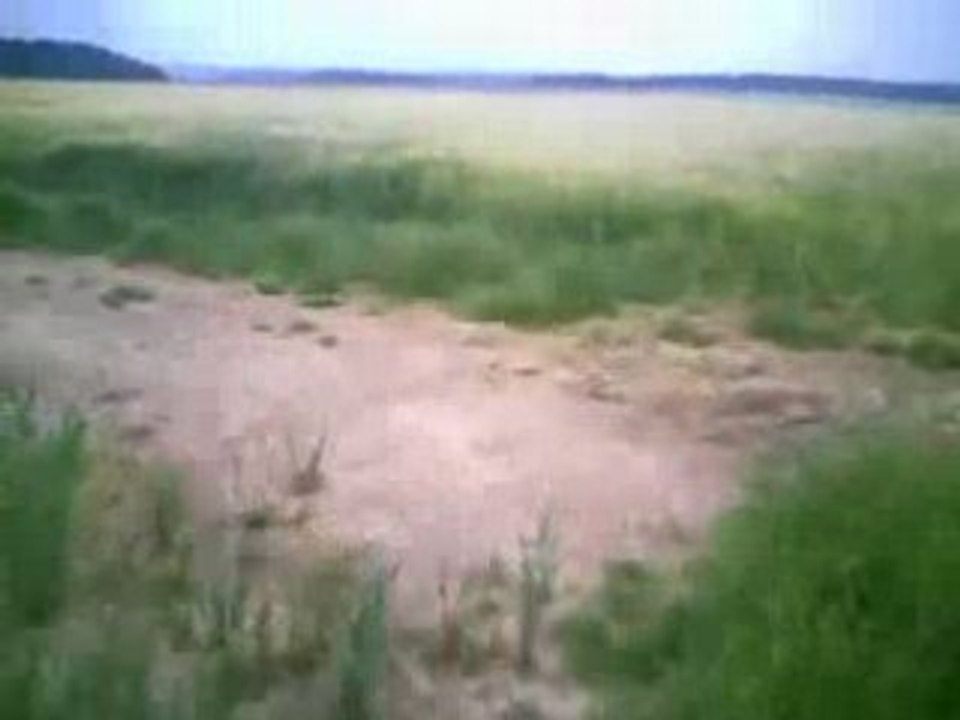 Rando escale quad du 08062008