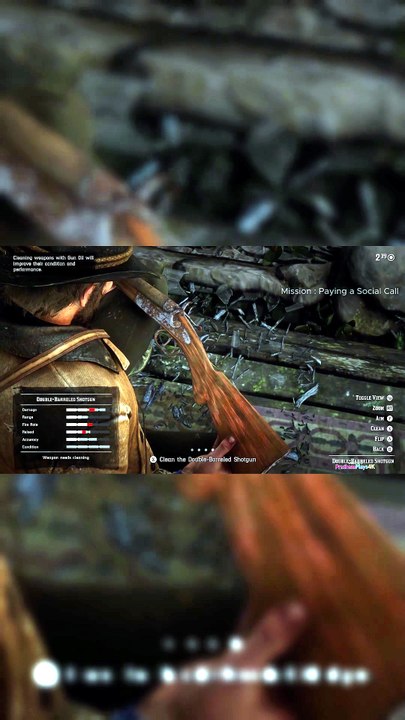 Arthur’s Cabin Search RDR2 Mission Paying a Social Call